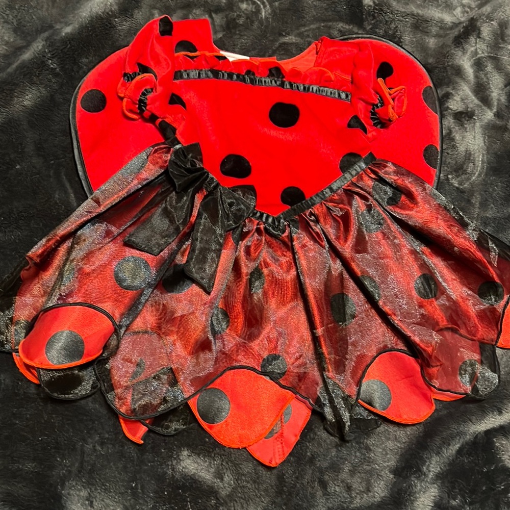 Red and black koala kids lady bug costume size 12 months w/headband velcro